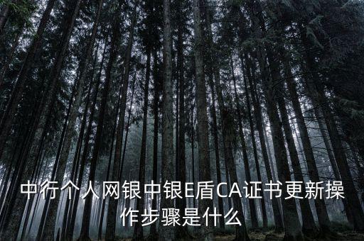 升級ca需要什么，CA證書怎么從副盤升級成正盤