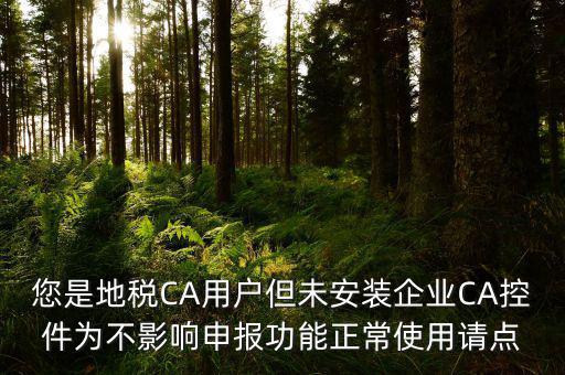 您是地稅CA用戶但未安裝企業(yè)CA控件為不影響申報(bào)功能正常使用請(qǐng)點(diǎn)