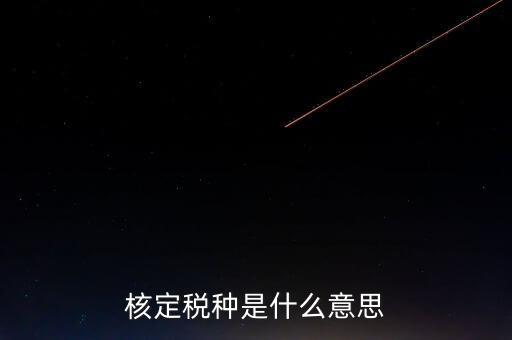 核定稅種是什么意思