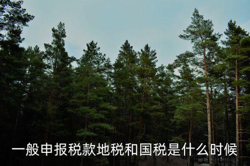 廣東省國稅和地稅什么時(shí)候申報(bào)，每月什么時(shí)間到地稅或國稅申報(bào)