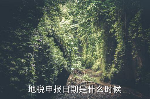 地稅清稅報(bào)告時(shí)間是什么原因，每月稅務(wù)申報(bào)時(shí)間什么時(shí)候