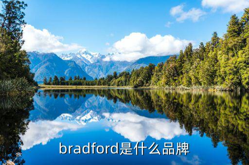 丁稅寶是什么，bradford是什么品牌