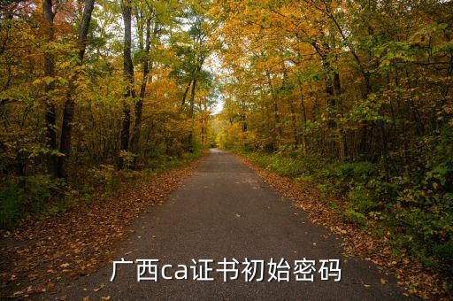 國說ca證書密碼是什么，ca證書密碼是什么