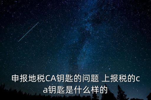 ca鑰匙是什么，申報(bào)地稅CA鑰匙的問(wèn)題 上報(bào)稅的ca鑰匙是什么樣的