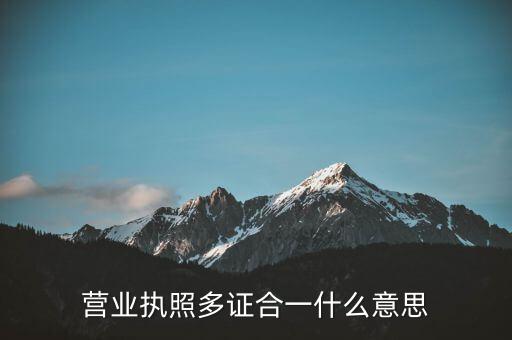 營(yíng)業(yè)執(zhí)照多證合一什么意思