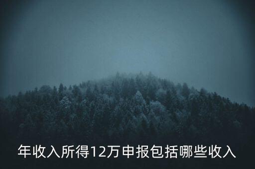 十二萬申報是什么，12萬個稅申報有什么用