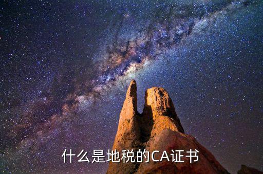 地稅ca棒是什么，什么是地稅的CA證書