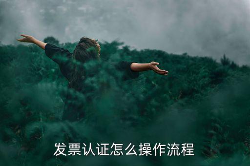 增值稅發(fā)票選擇確認需要什么，增值稅發(fā)票認證怎么操作