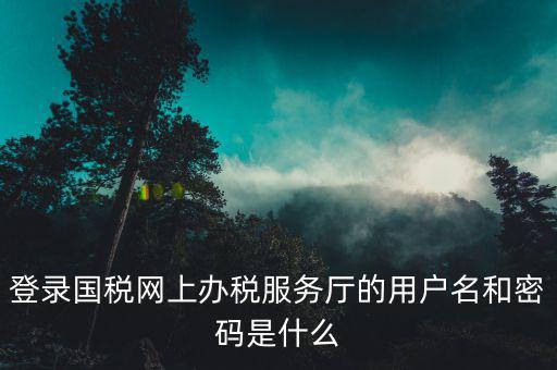 登錄國(guó)稅網(wǎng)上辦稅服務(wù)廳的用戶(hù)名和密碼是什么