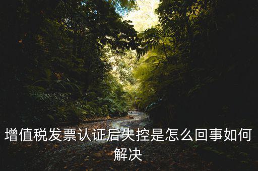 增值稅發(fā)票認證后失控是怎么回事如何解決