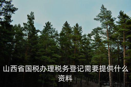 山西省國(guó)稅辦理稅務(wù)登記需要提供什么資料