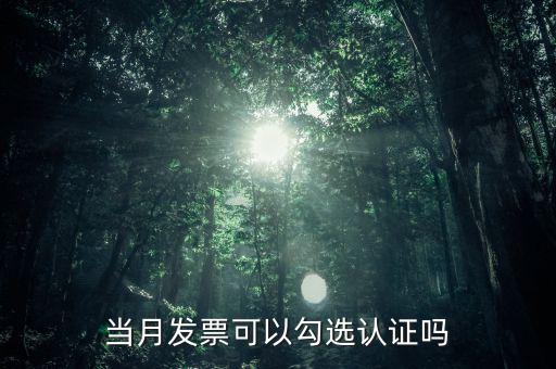 當(dāng)月發(fā)票可以勾選認(rèn)證嗎