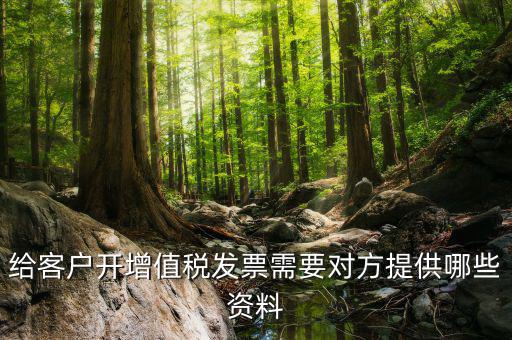 給客戶開增值稅發(fā)票需要對方提供哪些資料