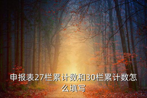 什么是期初未繳稅額，申報(bào)表27欄累計(jì)數(shù)和30欄累計(jì)數(shù)怎么填寫