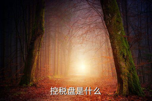 稅控盤是什么，稅控發(fā)票開票軟件 和金稅盤是什么意思