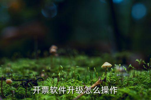 發(fā)票升級最新版本是什么原因，稅務(wù)升版是什么意思