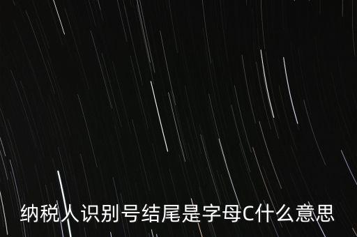 納稅人識別號結尾是字母C什么意思