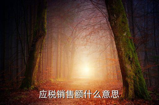 稅務(wù)銷售額是什么意思，年應(yīng)稅銷售額是什么意思