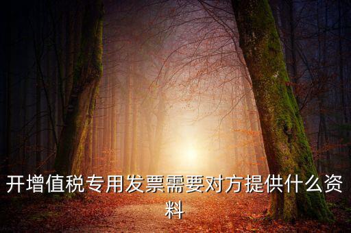 開增值稅專用發(fā)票需要對(duì)方提供什么資料