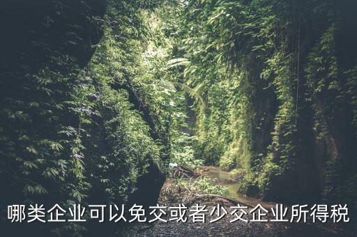 什么情況下企業(yè)可以減免稅收，哪類企業(yè)可以免交或者少交企業(yè)所得稅