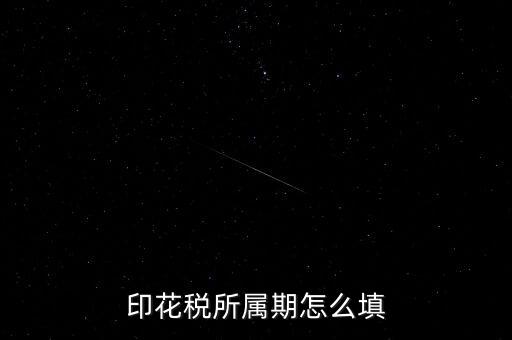 印花稅所屬期怎么填