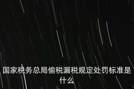 國家稅務(wù)總局偷稅漏稅規(guī)定處罰標(biāo)準(zhǔn)是什么