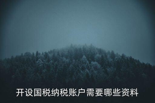 開國稅都需要帶什么資料，開設(shè)國稅納稅賬戶需要哪些資料