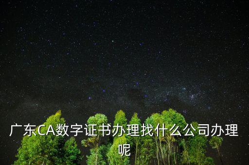 廣東CA數(shù)字證書辦理找什么公司辦理呢