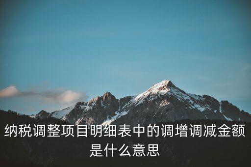 納稅調(diào)整項(xiàng)目明細(xì)表中的調(diào)增調(diào)減金額是什么意思