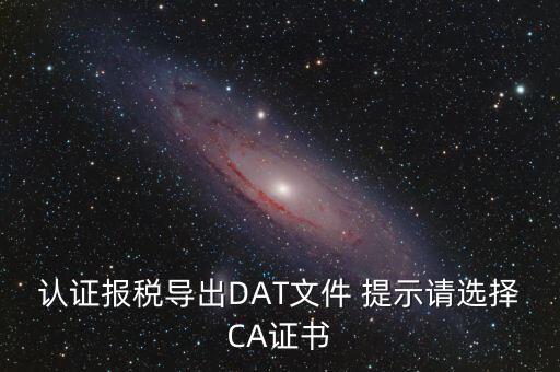 認(rèn)證報稅導(dǎo)出DAT文件 提示請選擇CA證書