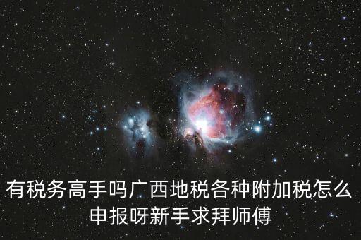 廣西地稅每個(gè)月要申報(bào)什么內(nèi)容，有稅務(wù)高手嗎廣西地稅各種附加稅怎么申報(bào)呀新手求拜師傅