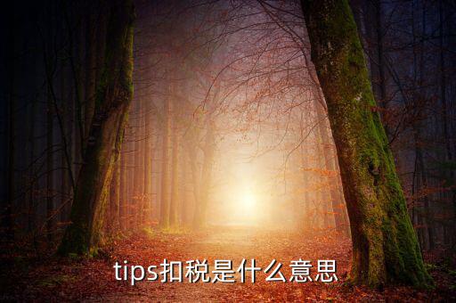 國稅tips系統(tǒng)指什么意思，電子對賬單上摘要一欄寫有tips是什么意思