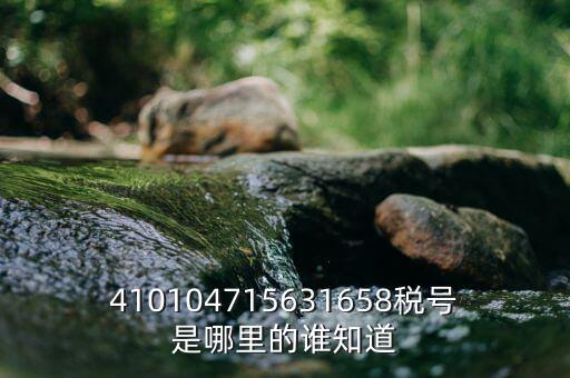 河南省的稅號(hào)是什么意思，410104715631658稅號(hào)是哪里的誰(shuí)知道