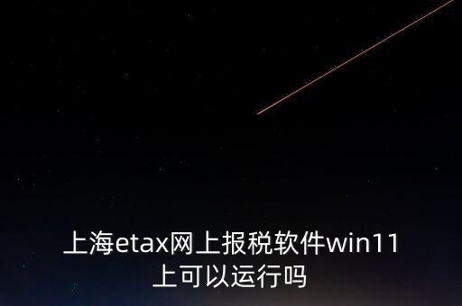 上海網(wǎng)上報稅什么軟件，上海etax網(wǎng)上報稅軟件win11上可以運行嗎