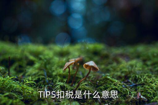 tips是什么扣款，TIPS扣稅是什么意思