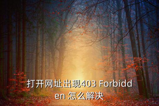 打開網址出現(xiàn)403 Forbidden 怎么解決