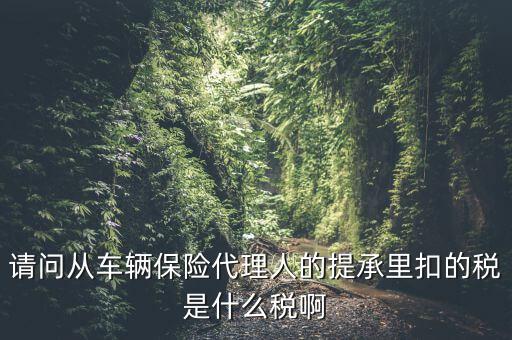 請問從車輛保險代理人的提承里扣的稅是什么稅啊