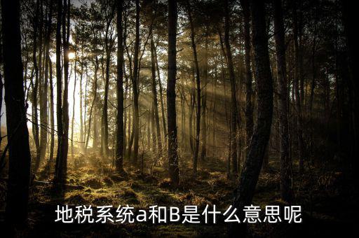 地稅b戶是什么意思，地稅系統(tǒng)a和B是什么意思呢