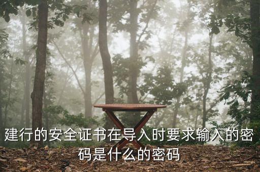 建行的安全證書在導(dǎo)入時要求輸入的密碼是什么的密碼