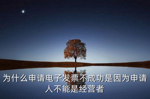 發(fā)票網(wǎng)上申領(lǐng)失敗什么原因，電子發(fā)票網(wǎng)上申領(lǐng)結(jié)果是2