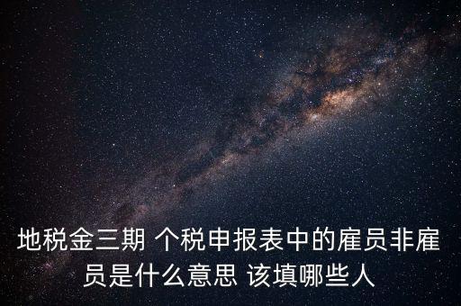 地稅金三期 個稅申報表中的雇員非雇員是什么意思 該填哪些人