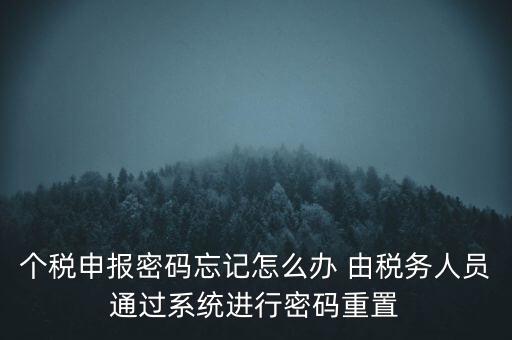 個稅申報密碼忘記怎么辦 由稅務人員通過系統(tǒng)進行密碼重置