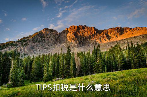 什么叫tips扣款，tips扣款和大廳扣款區(qū)別