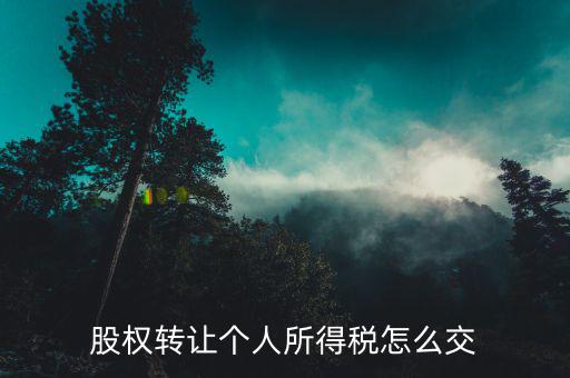 股權(quán)轉(zhuǎn)讓個人所得稅怎么交