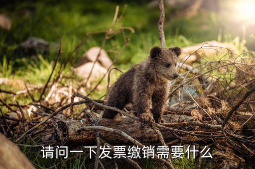 發(fā)票繳銷要需要帶什么，去國稅注銷發(fā)票需要帶什么呢