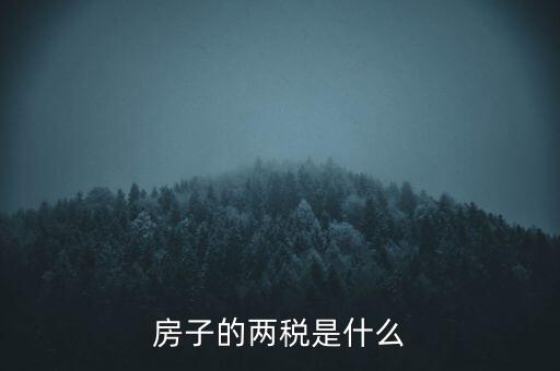 兩稅清查是指什么，房子的兩稅是什么