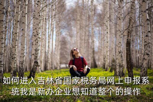 如何進入吉林省國家稅務局網(wǎng)上申報系統(tǒng)我是新辦企業(yè)想知道整個的操作