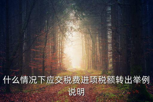 什么情況下應(yīng)交稅費(fèi)進(jìn)項稅額轉(zhuǎn)出舉例說明