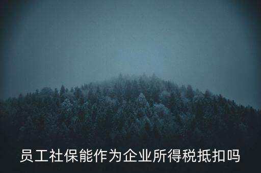 企業(yè)社?？梢缘质裁炊?，員工社保能作為企業(yè)所得稅抵扣嗎