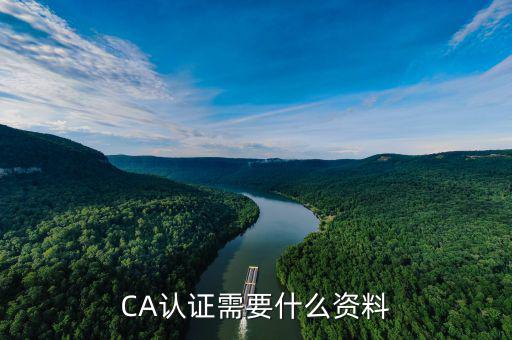 CA認(rèn)證需要什么資料